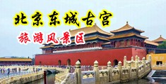 小穴xxxx中国北京-东城古宫旅游风景区